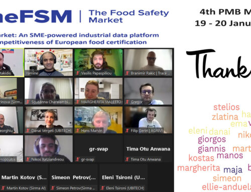 Insights from TheFSM 4th Project Meeting